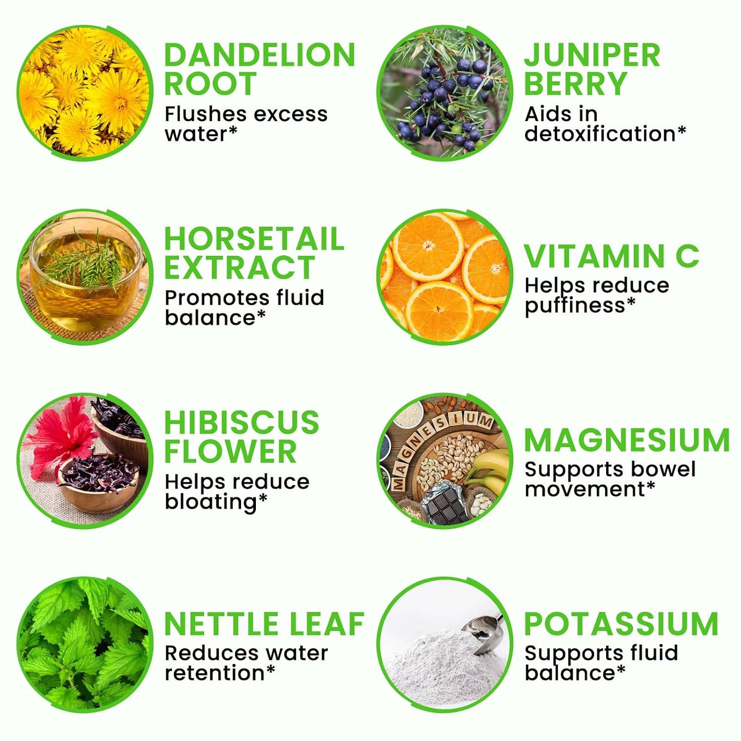 Debloat Powder - Digestive Enzymes & Botanical Blend For A Lighter Feel