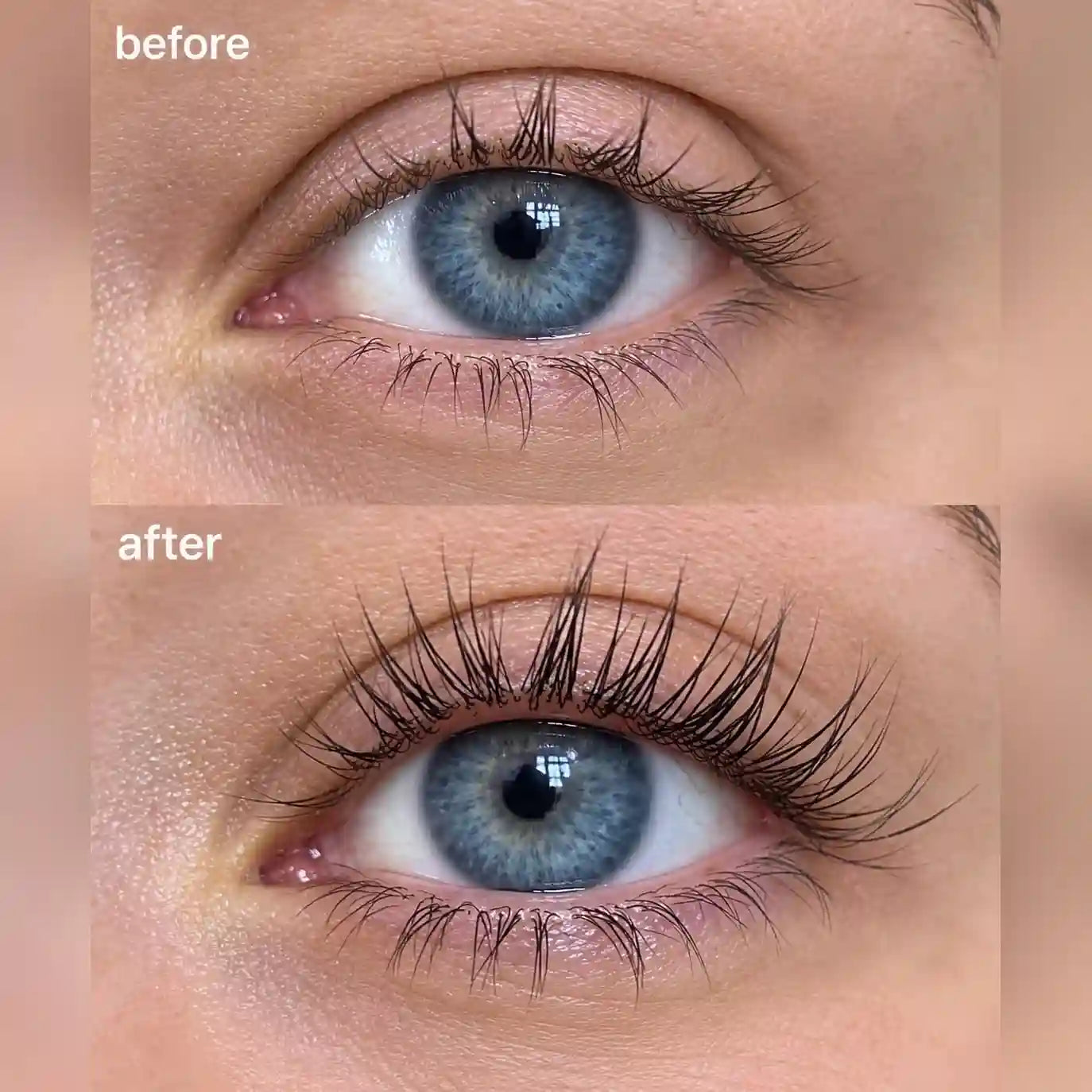 Lash & Brow Serum - Castor + Rosemary Oil Formula For Fuller-Looking Lashes